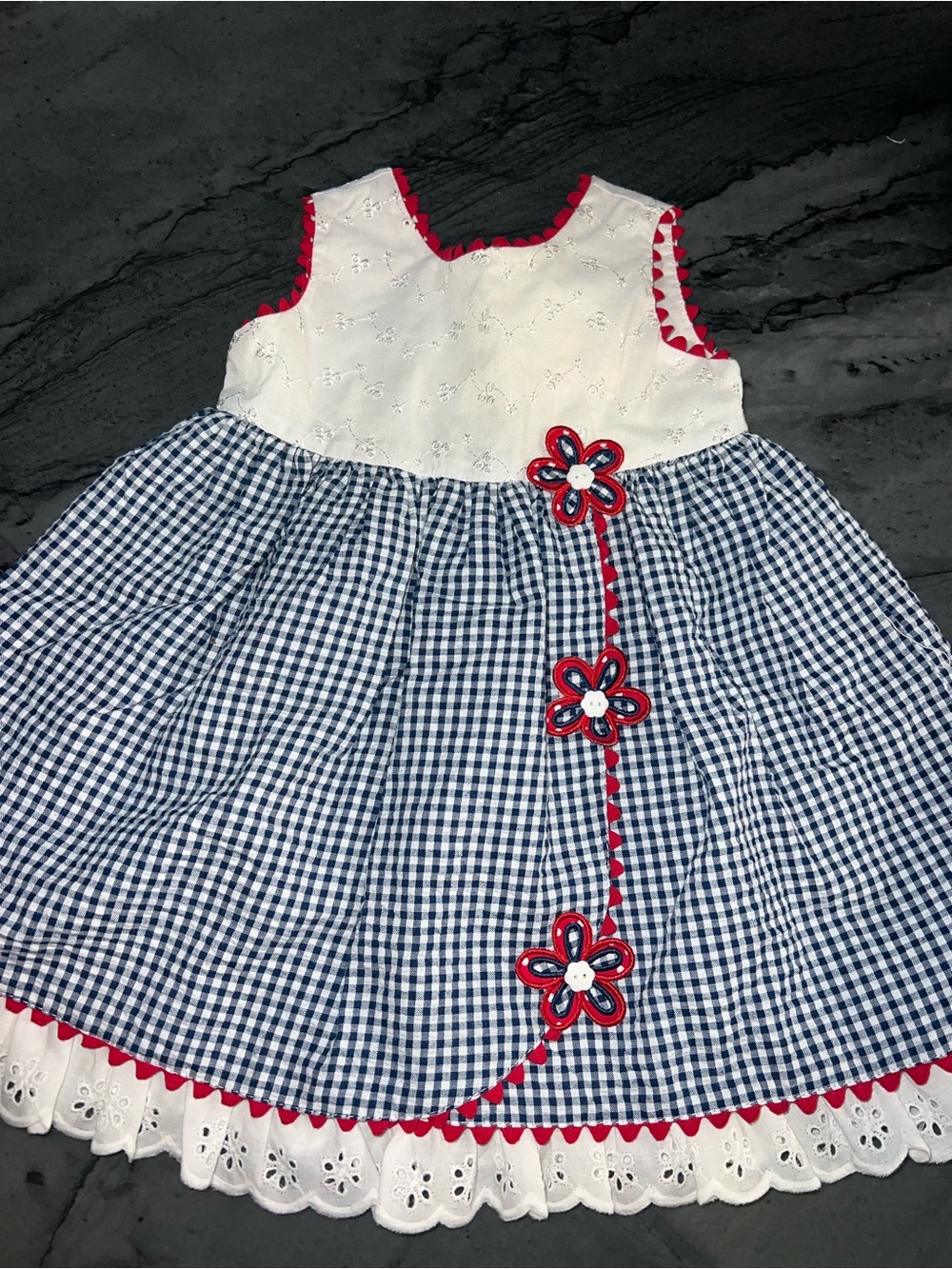 Navy Gingham Red-Trim Floral Appliqué Dress